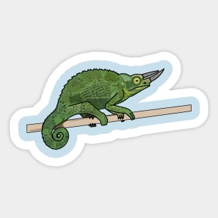 Jackson's chameleon cartoon illustration Sticker